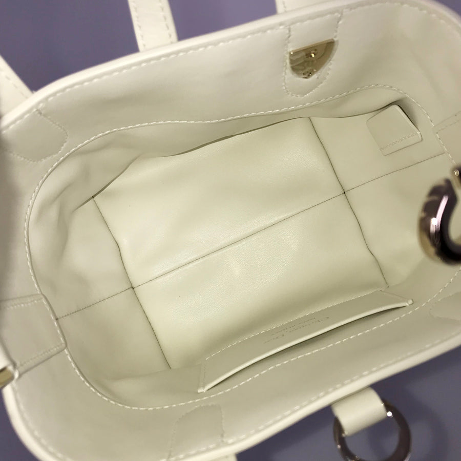 Dior Canage Macro Vertical Nano Hand bag