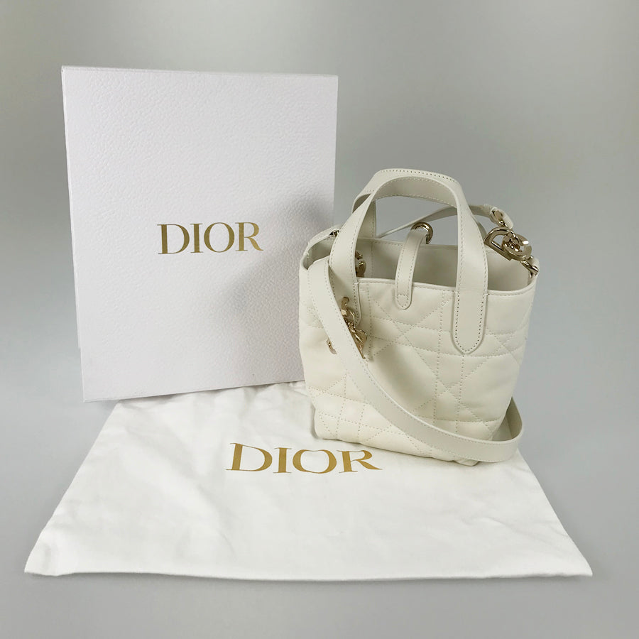 Dior Canage Macro Vertical Nano Hand bag