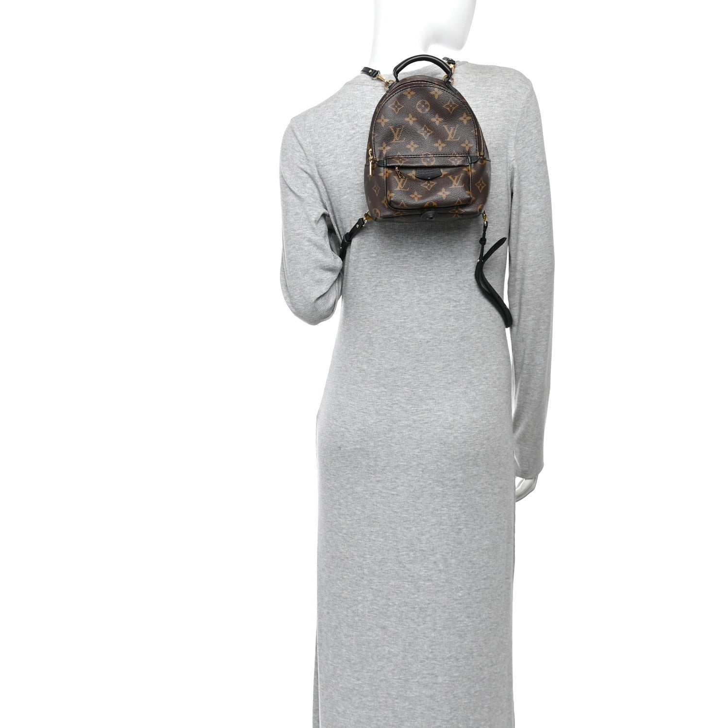 Monogram Palm Springs Backpack Mini
