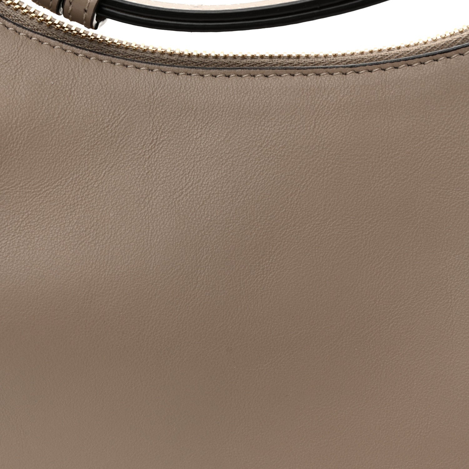 Vitello Grace Matte Small Fendigraphy Hobo Bag Tortora