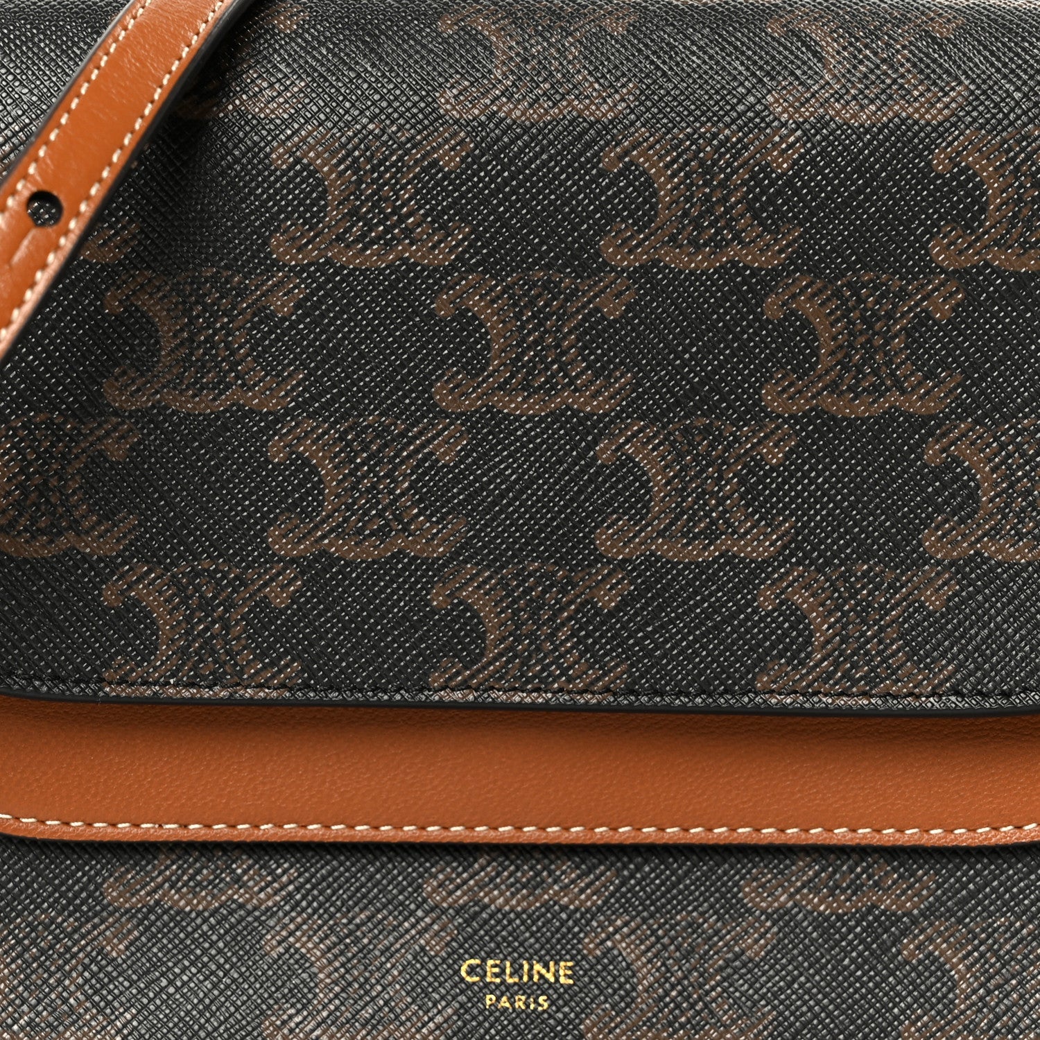 Triomphe Canvas Lambskin Wallet On Strap Tan