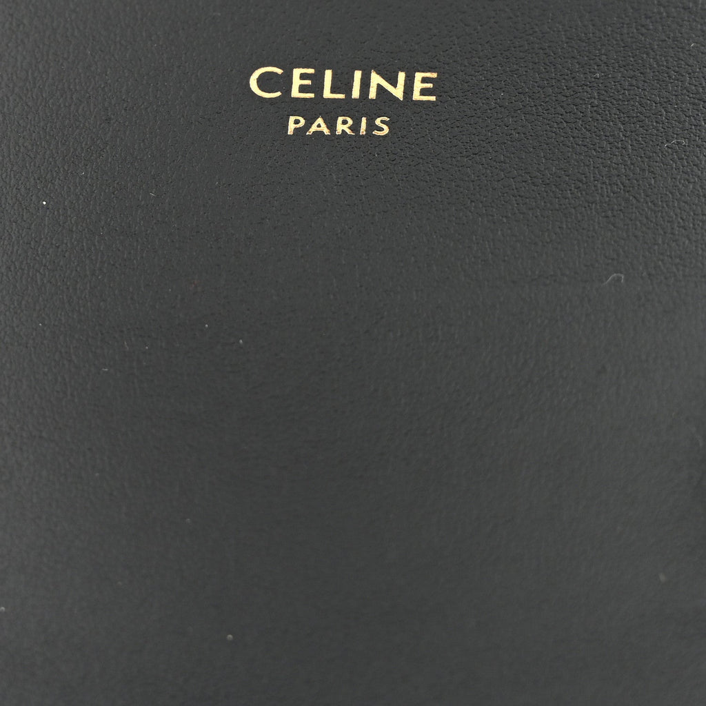 Shiny Calfskin Mini Triomphe Black
