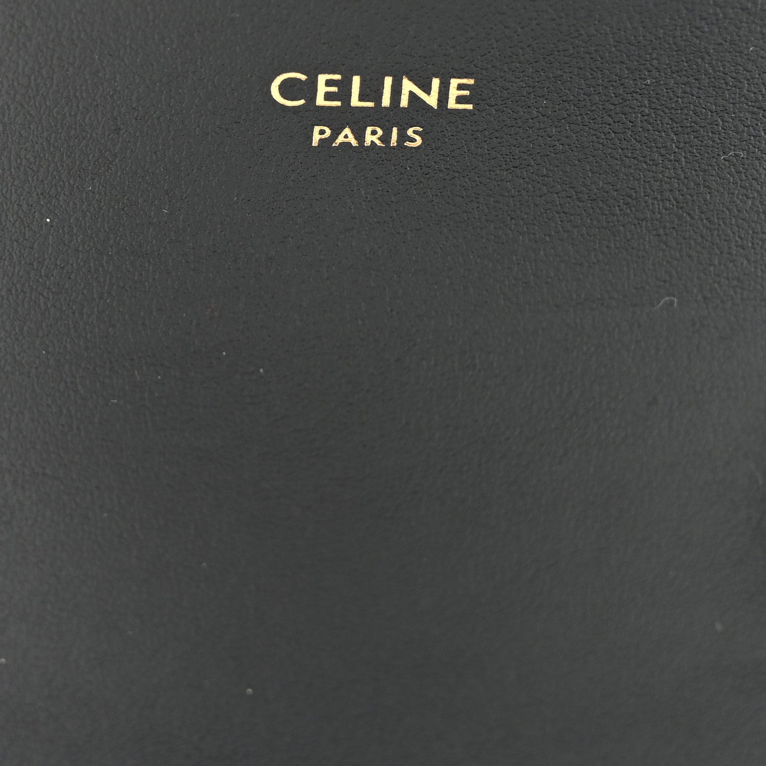 Shiny Calfskin Mini Triomphe Black