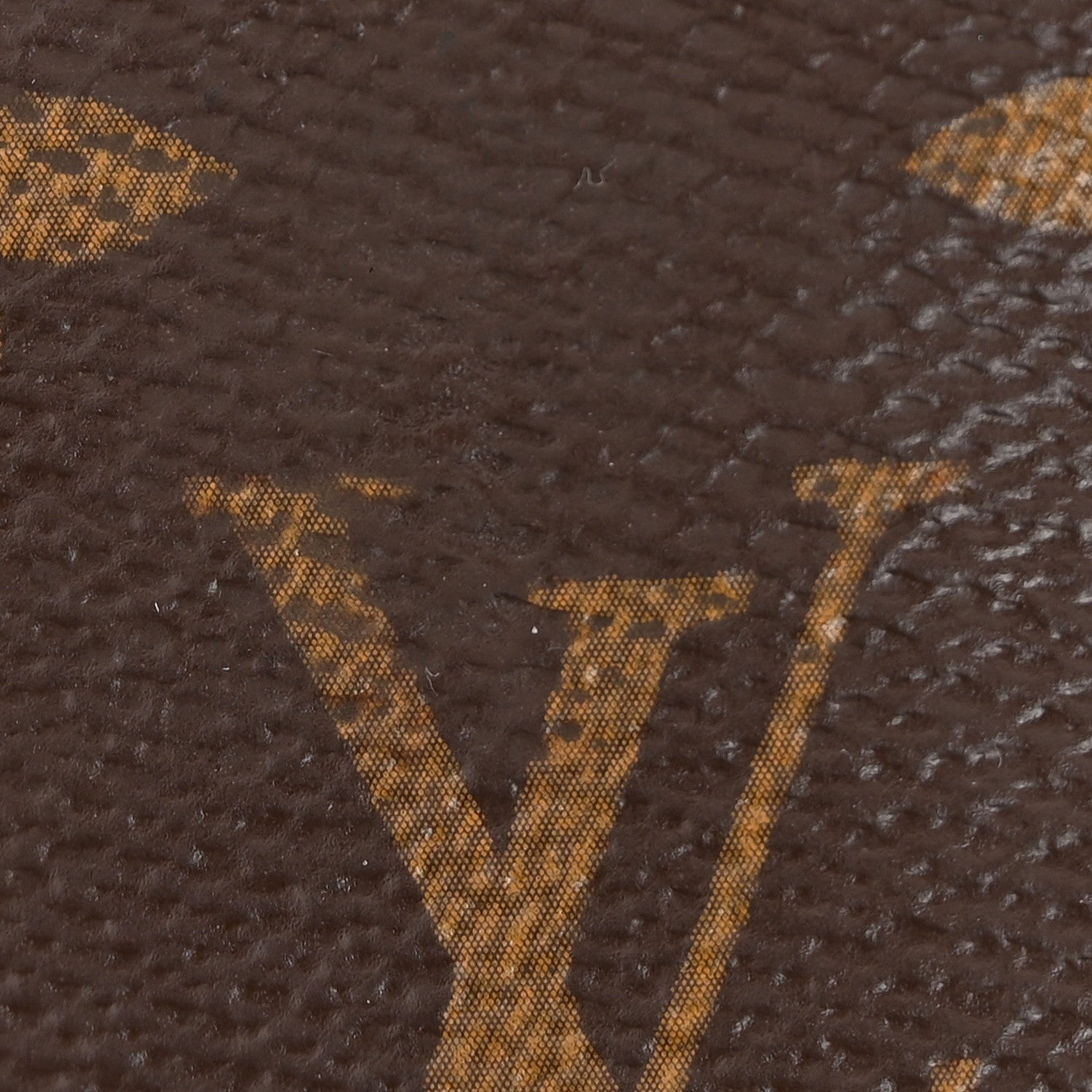Monogram Mini Pochette Accessories