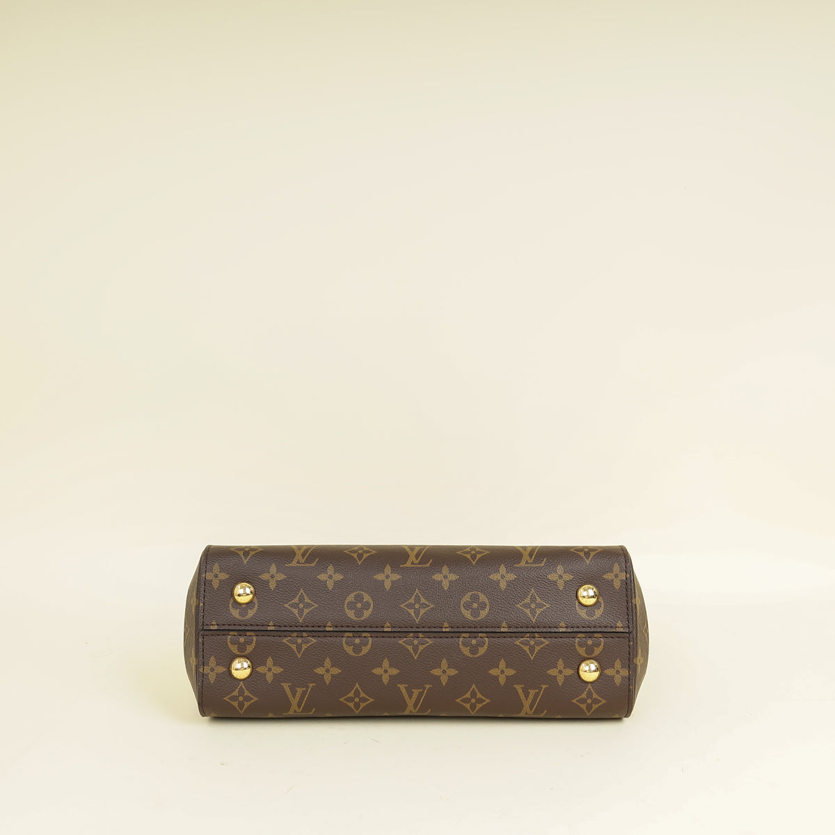 Louis Vuitton Brown Monogram Cluny MM Bag
