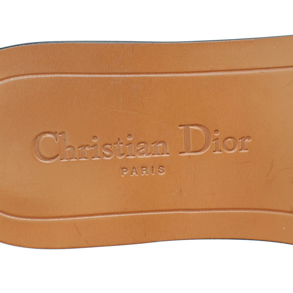 Christian Dior Brown Dio(r)evolution Slide Sandals 36