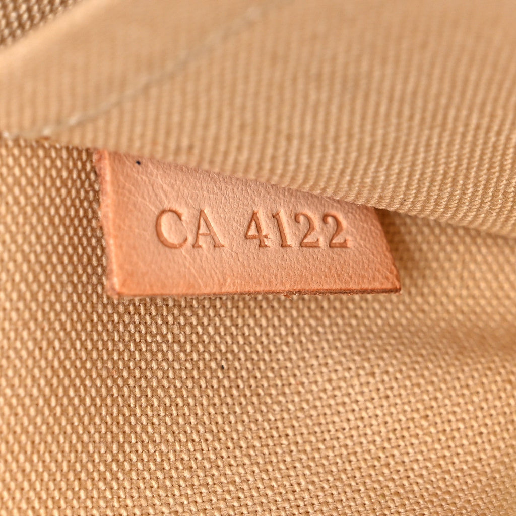 Damier Azur Pochette Accessories NM