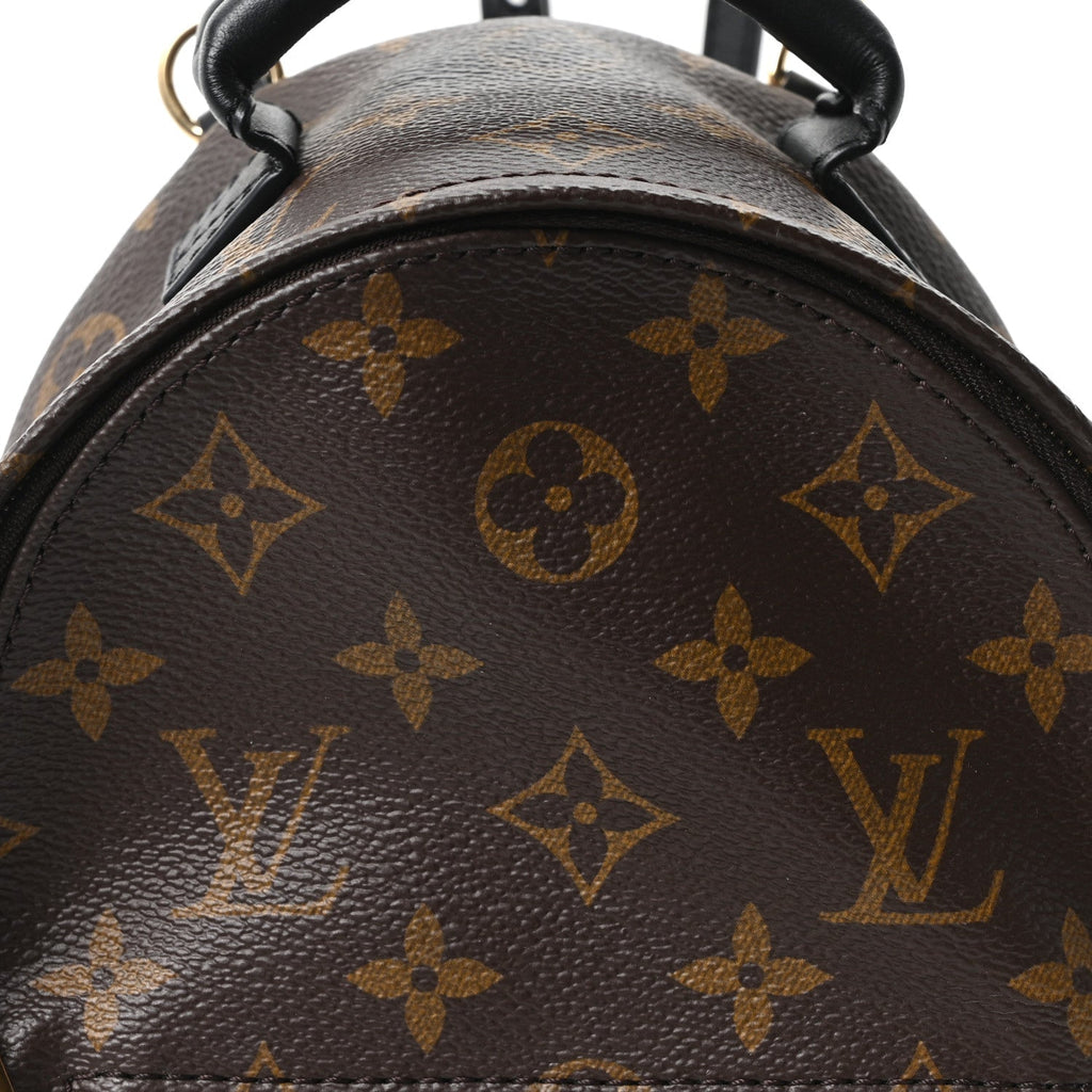 Monogram Palm Springs Backpack Mini