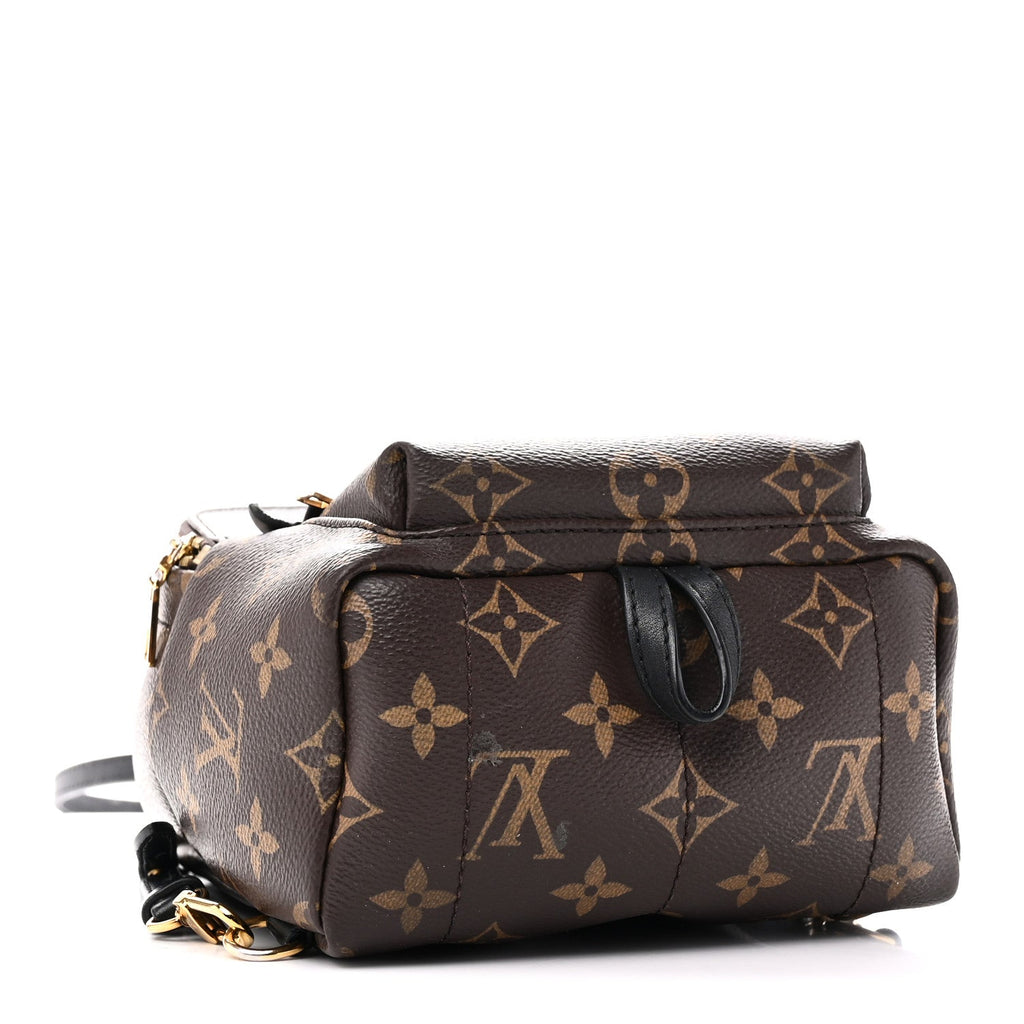 Monogram Palm Springs Backpack Mini