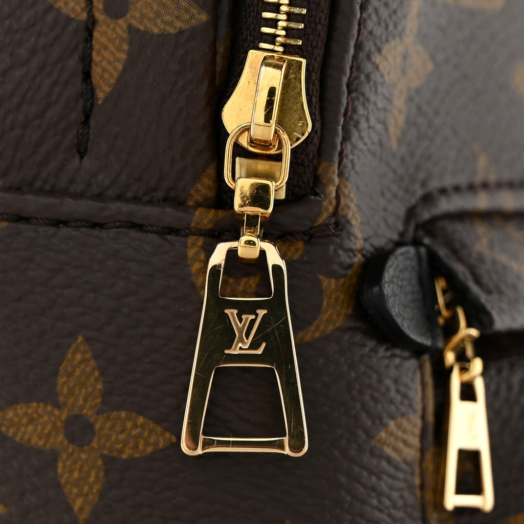 Monogram Palm Springs Backpack Mini
