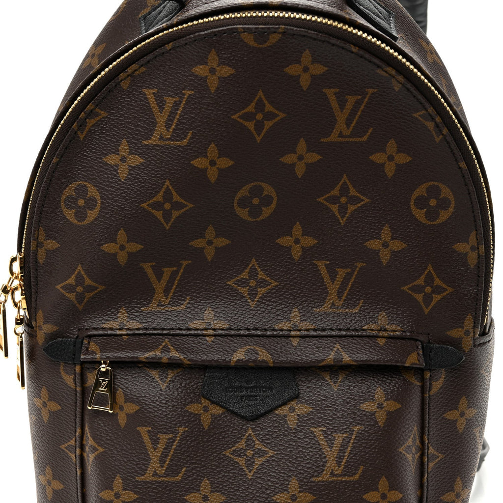 Monogram Palm Springs Backpack PM