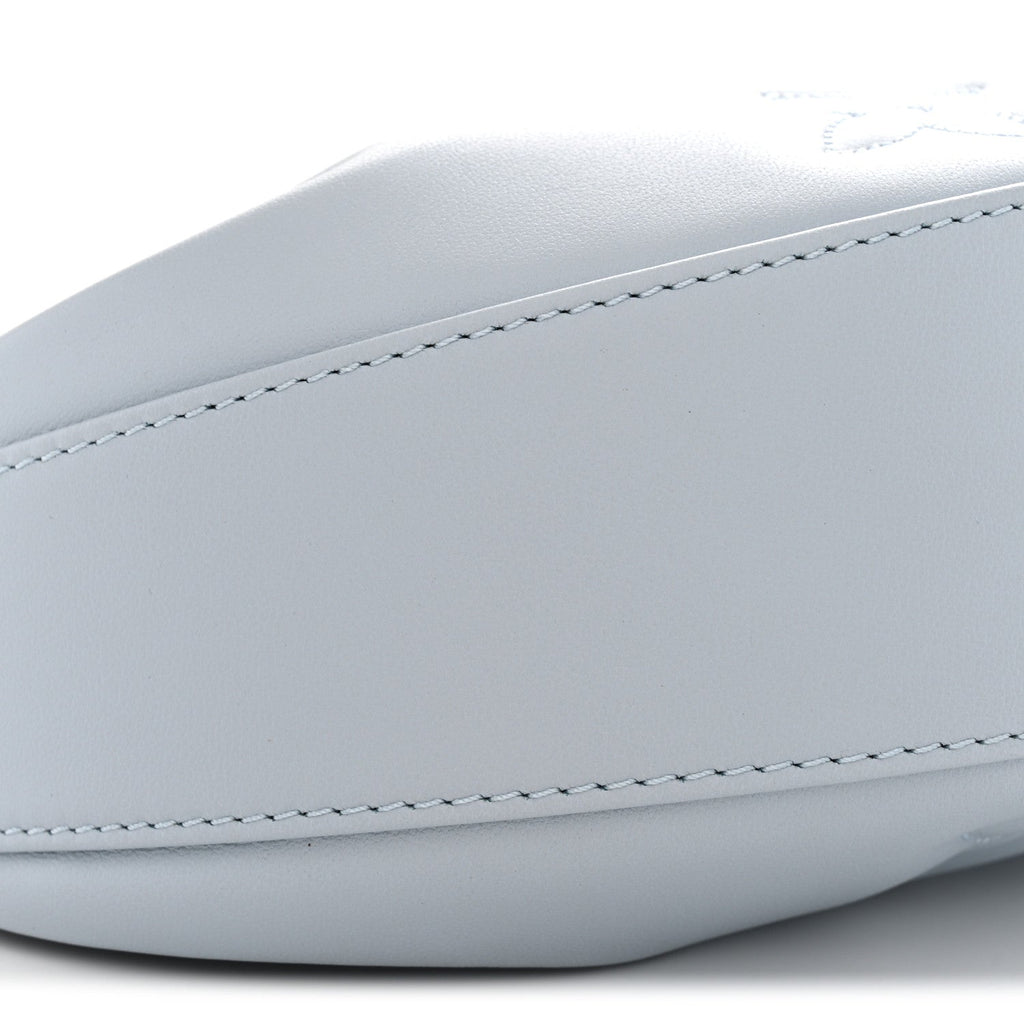 Calfskin Bubblegram Over The Moon Ice Blue