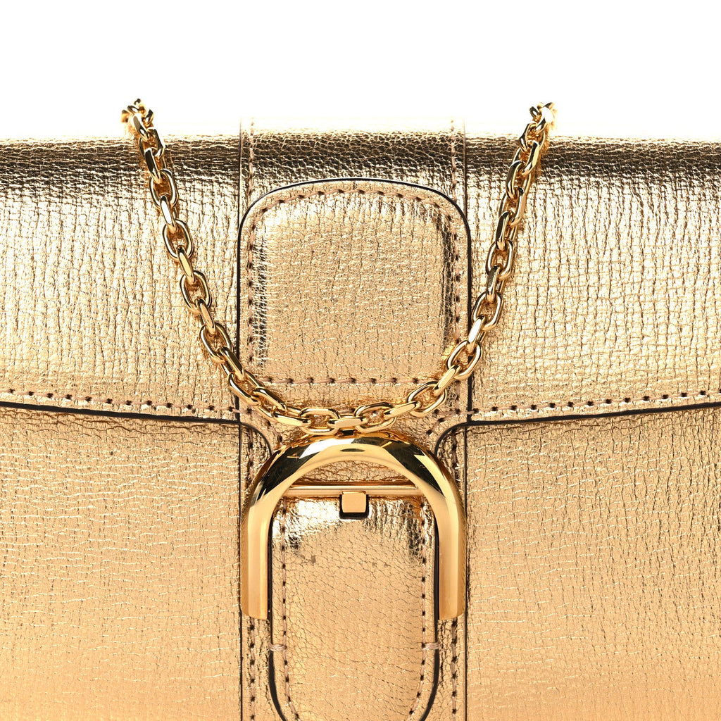 Metallic Rodeo Calfskin Brillant Wallet On Chain Satin Gold