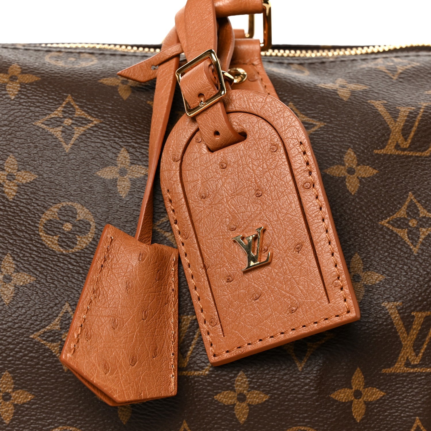 Monogram Speedy Soft 30 Boho