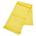 Christian Dior Trotter Silk Stole