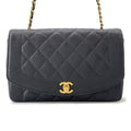 CHANEL Diana Chain Shoulder Bag BlackA01165 Caviar Leather Size 25
