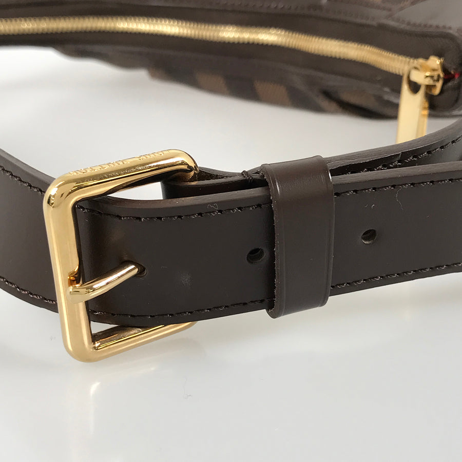 LOUIS VUITTON Damier Thames PM N48180 Shoulder bag