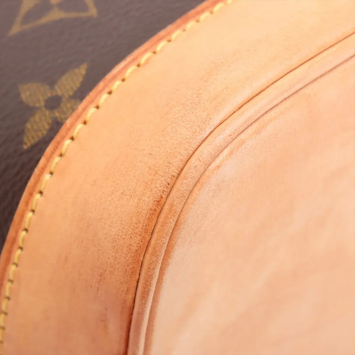 Louis Vuitton Monogram Alma