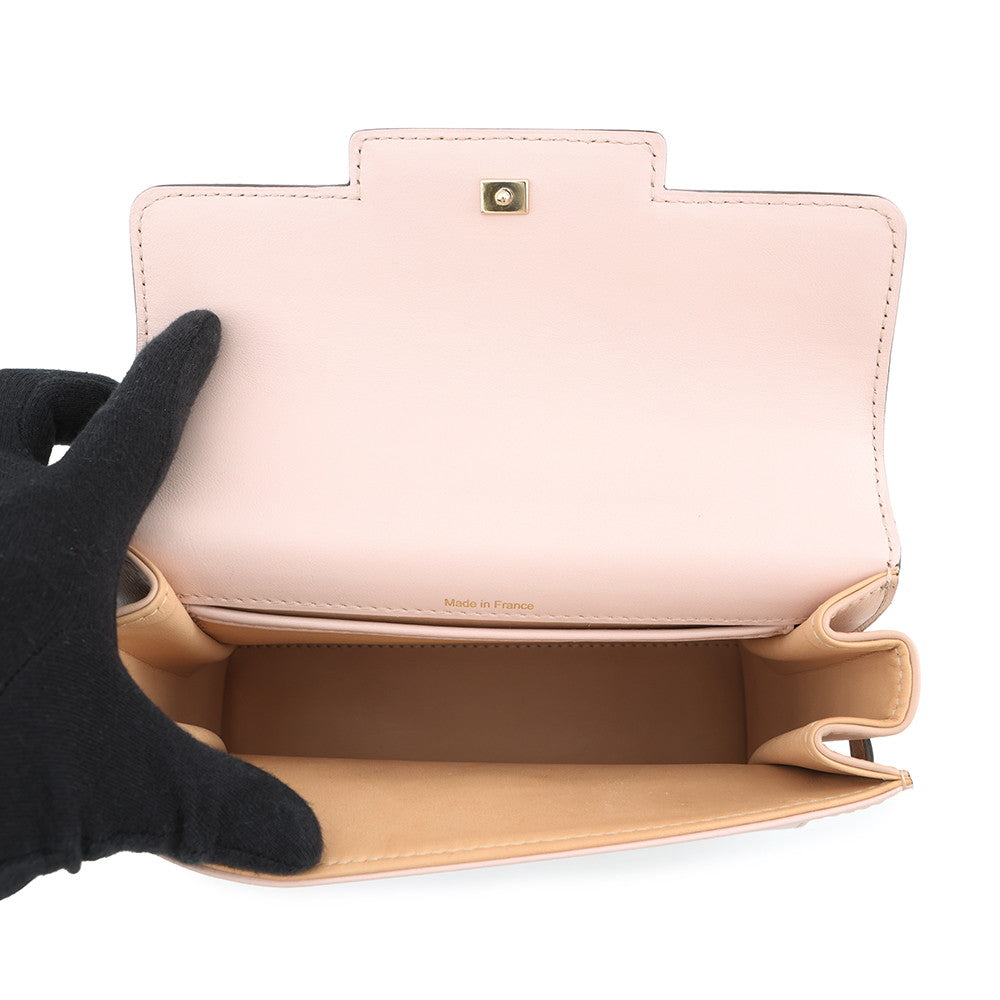 Delvaux Tempate Light Pink/Brown/Jasmin FlowerAA0435AAX0AIADP Leather Size Mini