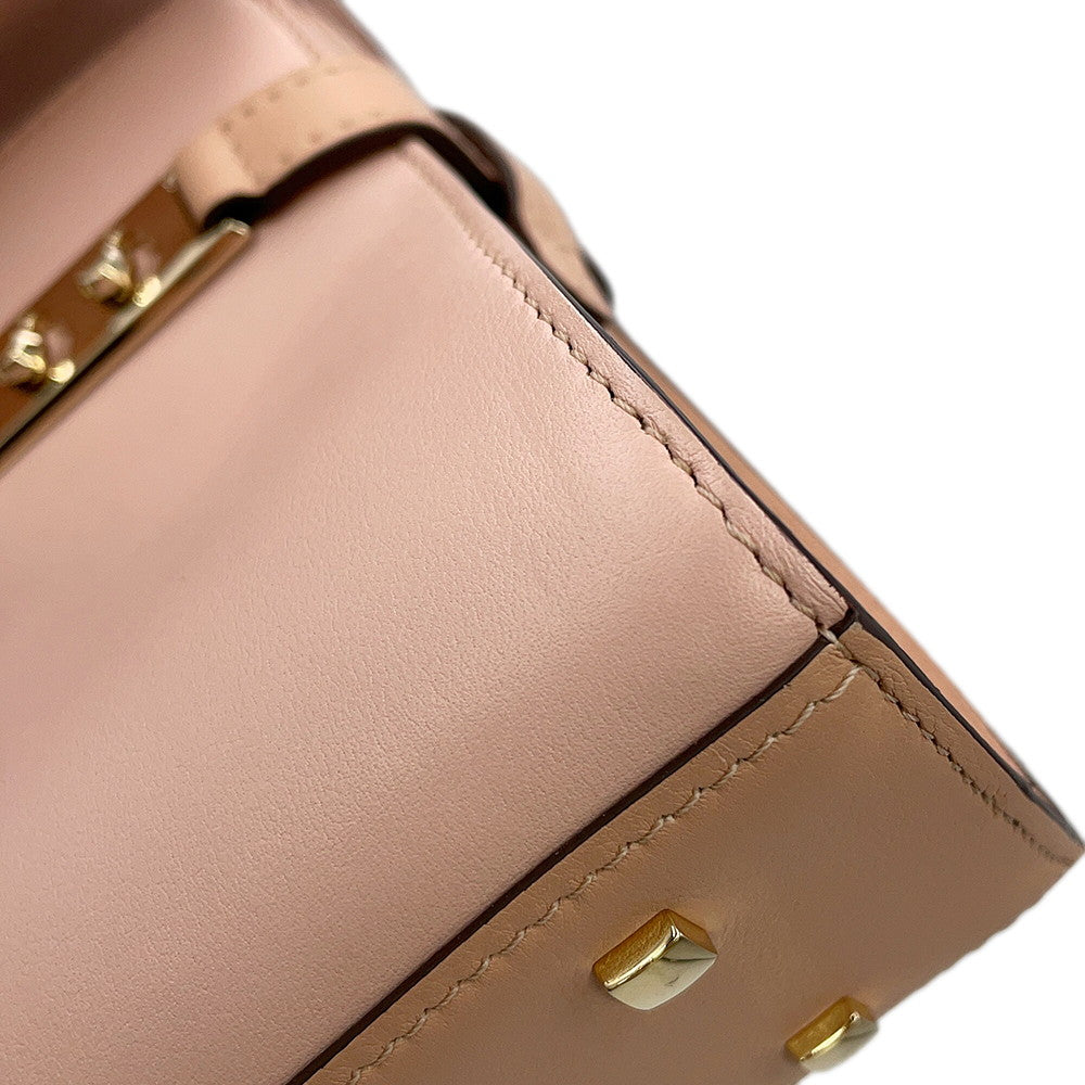 Delvaux Tempate Light Pink/Brown/Jasmin FlowerAA0435AAX0AIADP Leather Size Mini