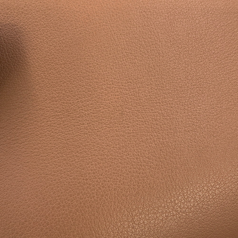 Delvaux Tempate Light Pink/Brown/Jasmin FlowerAA0435AAX0AIADP Leather Size Mini