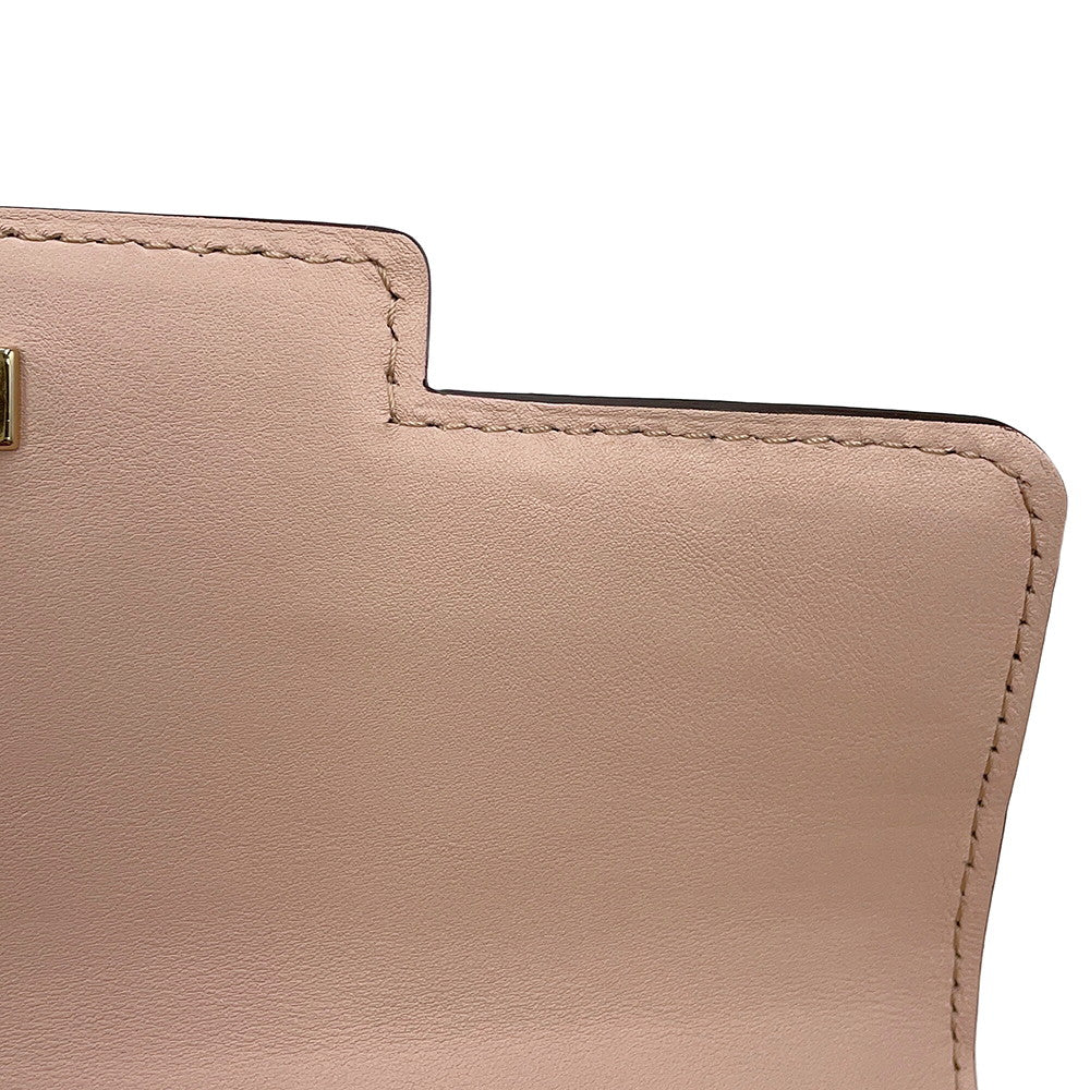 Delvaux Tempate Light Pink/Brown/Jasmin FlowerAA0435AAX0AIADP Leather Size Mini
