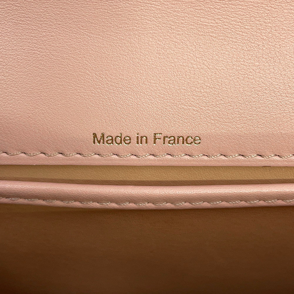 Delvaux Tempate Light Pink/Brown/Jasmin FlowerAA0435AAX0AIADP Leather Size Mini