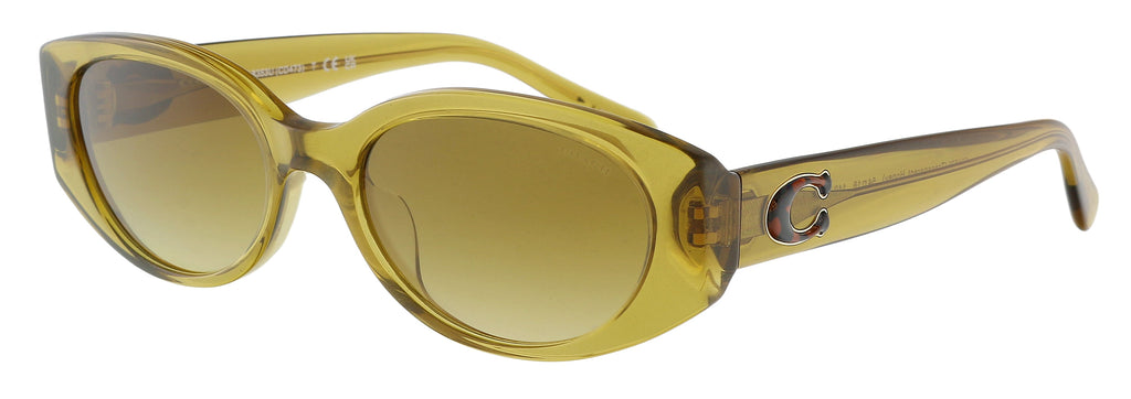 Coach 0HC8353U 57152L Full Rim Transparent Honey Rectangular Sunglasses