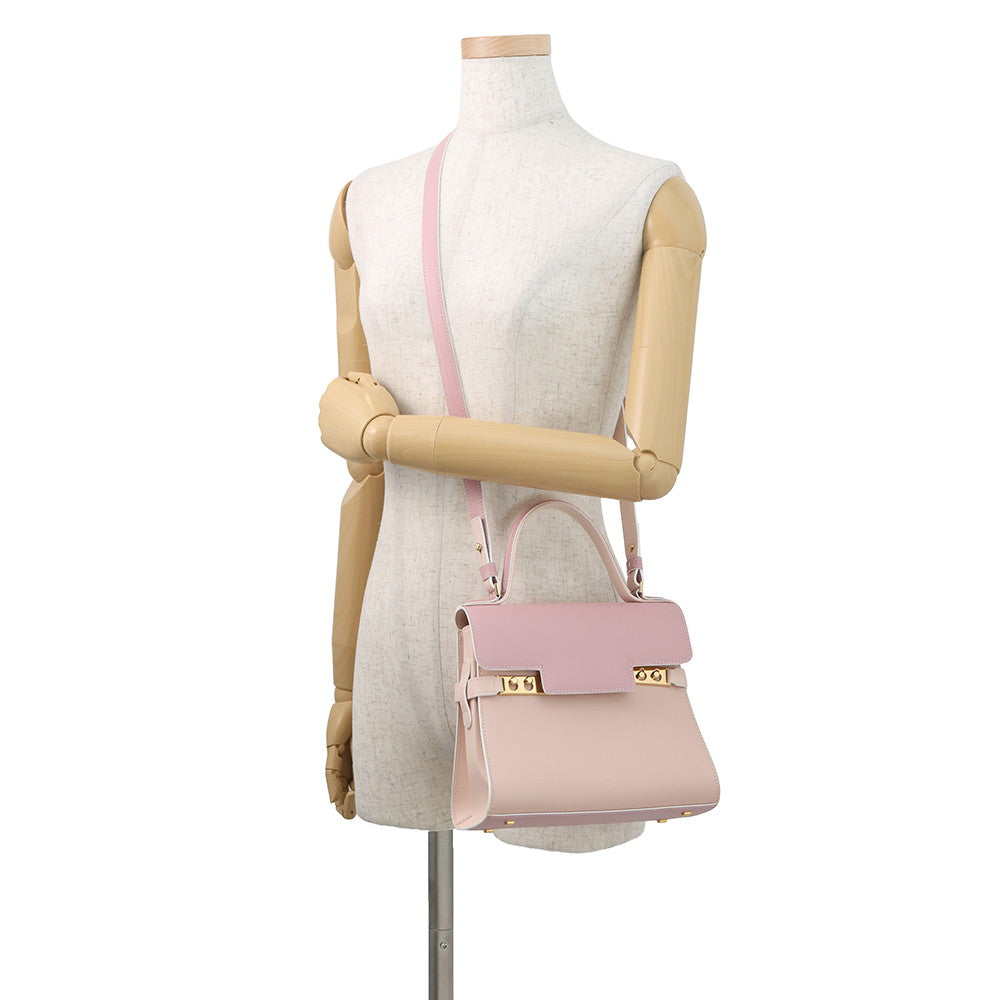 Delvaux Tempate Pink/Jasmin FlowerAA0505AAM0ARFDO Leather Size PM