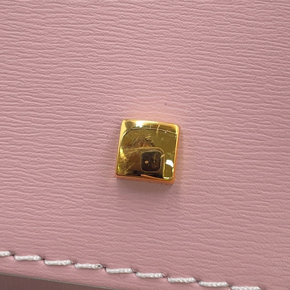 Delvaux Tempate Pink/Jasmin FlowerAA0505AAM0ARFDO Leather Size PM