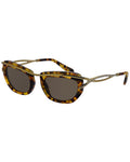Swarovski Women's Sk7026 52Mm Sunglasses