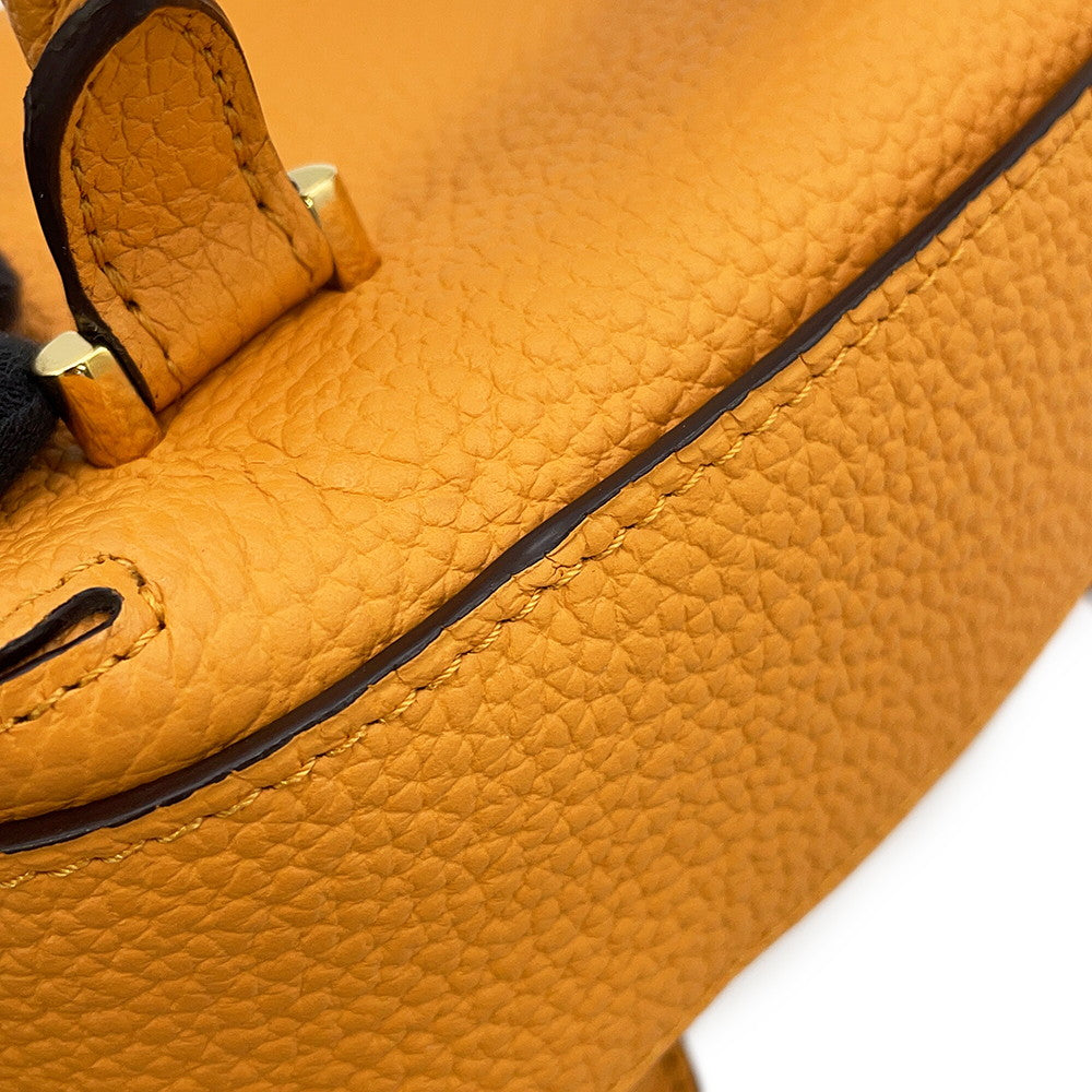 Delvaux Cool box Honey YellowAA0567AQY0AZCDO TaurillonSoft Leather Size Nano
