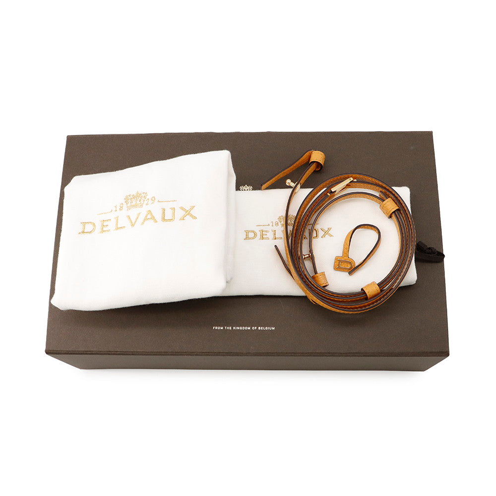Delvaux Cool box Honey YellowAA0567AQY0AZCDO TaurillonSoft Leather Size Nano