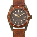 TUDOR Black Bay Bronze W43mm Bronze Leather Brown Dial79250BM