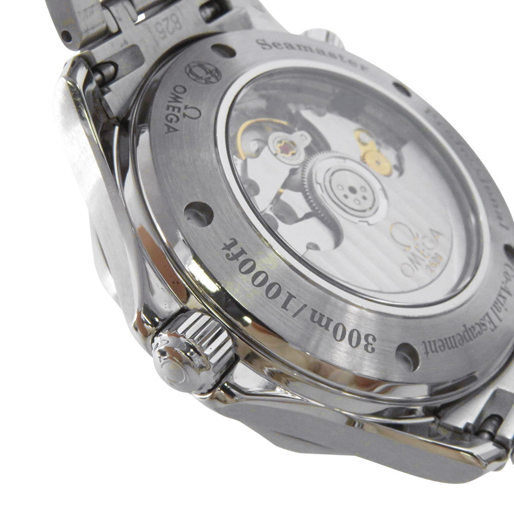 OMEGA Seamaster Diver300 Co-Axial GMT W41mm Stainless Steel Blue Dial2535.80.00