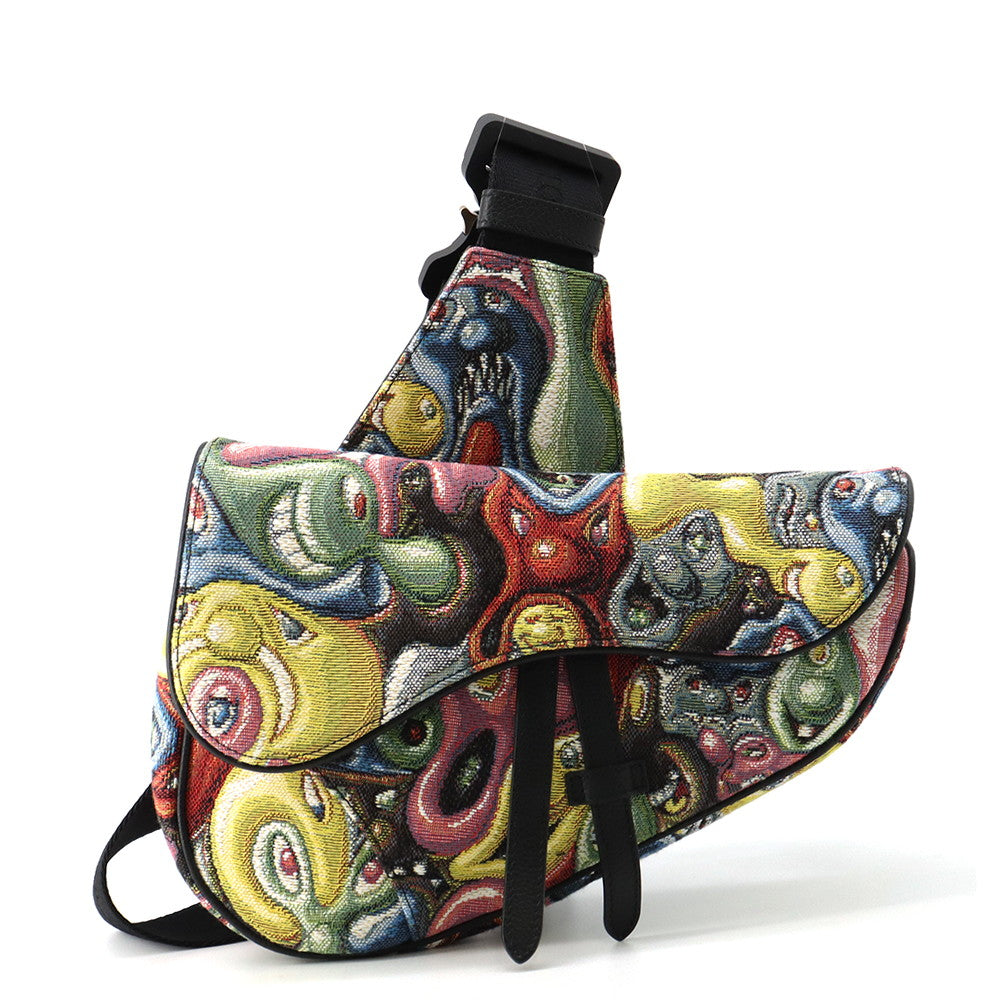 Dior Christian Dior × Kenny Scharf Saddlebag Multicolor Canvas Leather