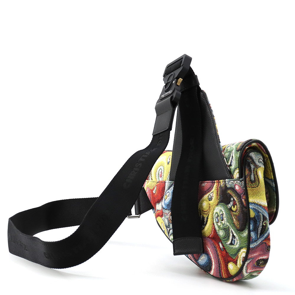 Dior Christian Dior × Kenny Scharf Saddlebag Multicolor Canvas Leather