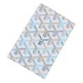 GOYARD Grenelle Passport Case 2026 Limited Edition Color Polar BlueGRENELPMLTY71CL23X PVC Leather