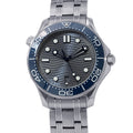 OMEGA Seamaster Professional Co-Axial Master Chronometer W42mm Stainless Steel Gray Dial210.30.42.20.06.001
