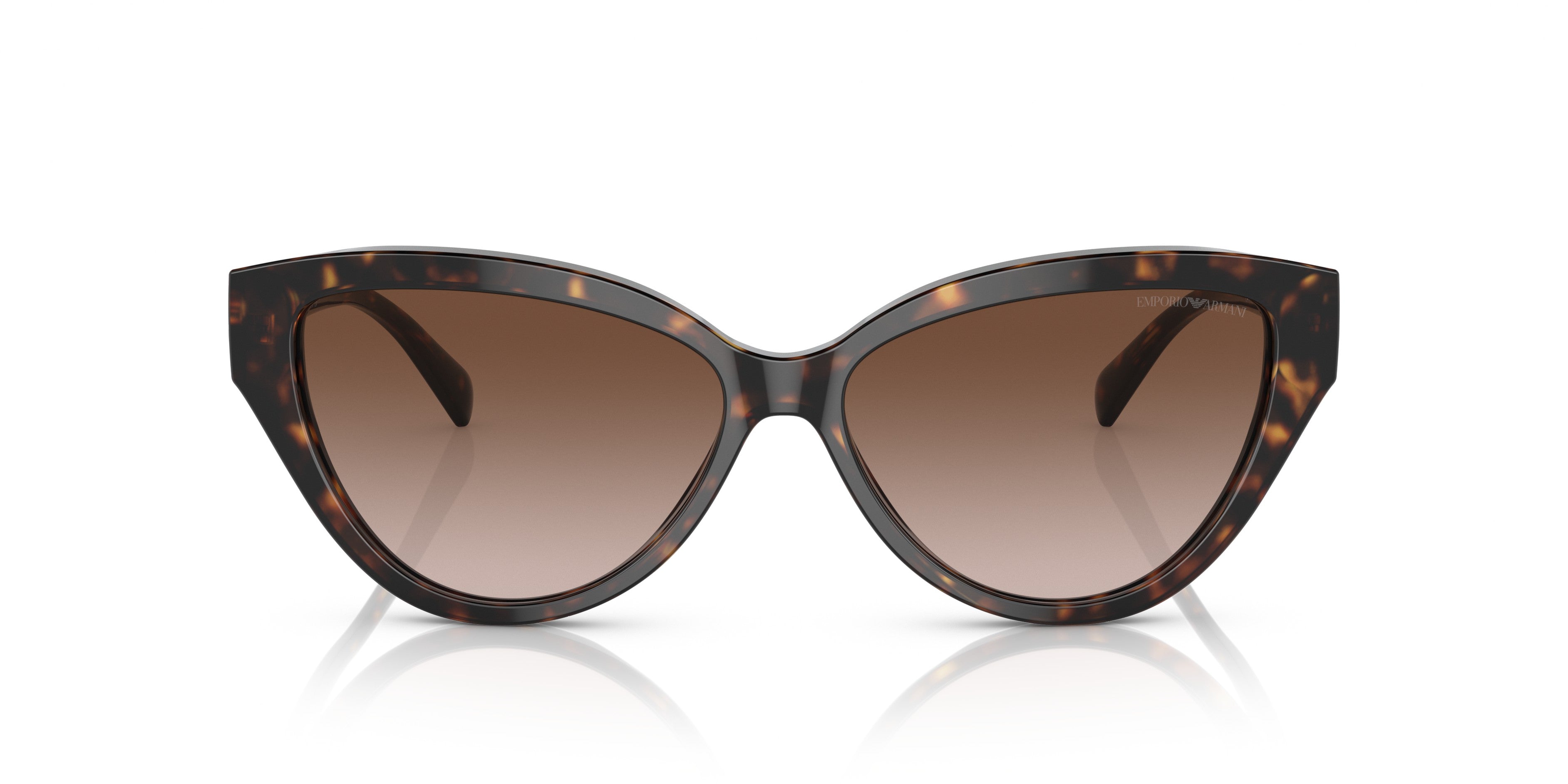 Emporio Armani 0EA4192 502613 Shiny havana Cat eye Sunglasses