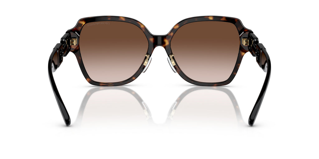 Emporio Armani 0EA4202F 502613 Shiny havana Square Sunglasses