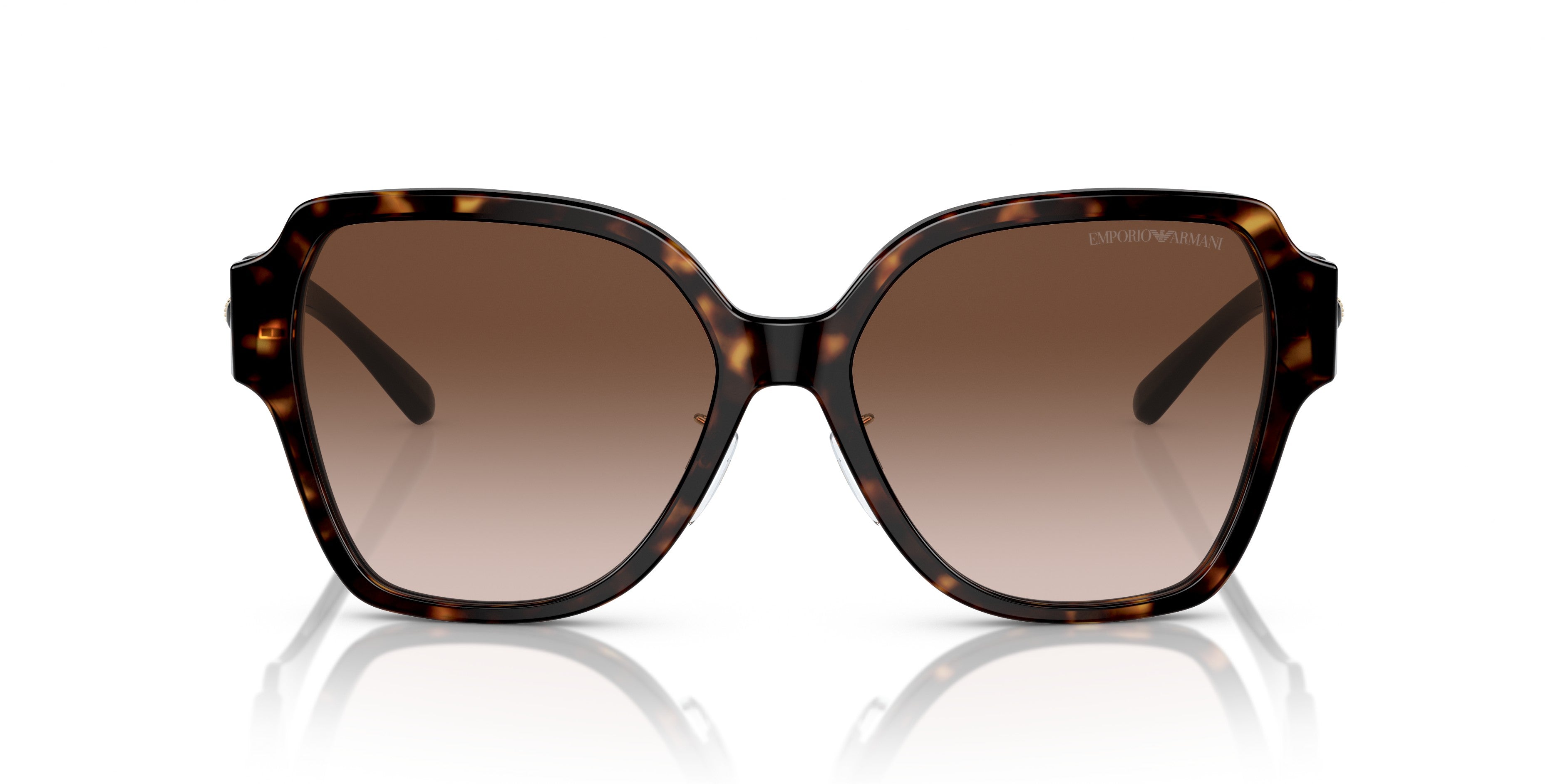 Emporio Armani 0EA4202F 502613 Shiny havana Square Sunglasses