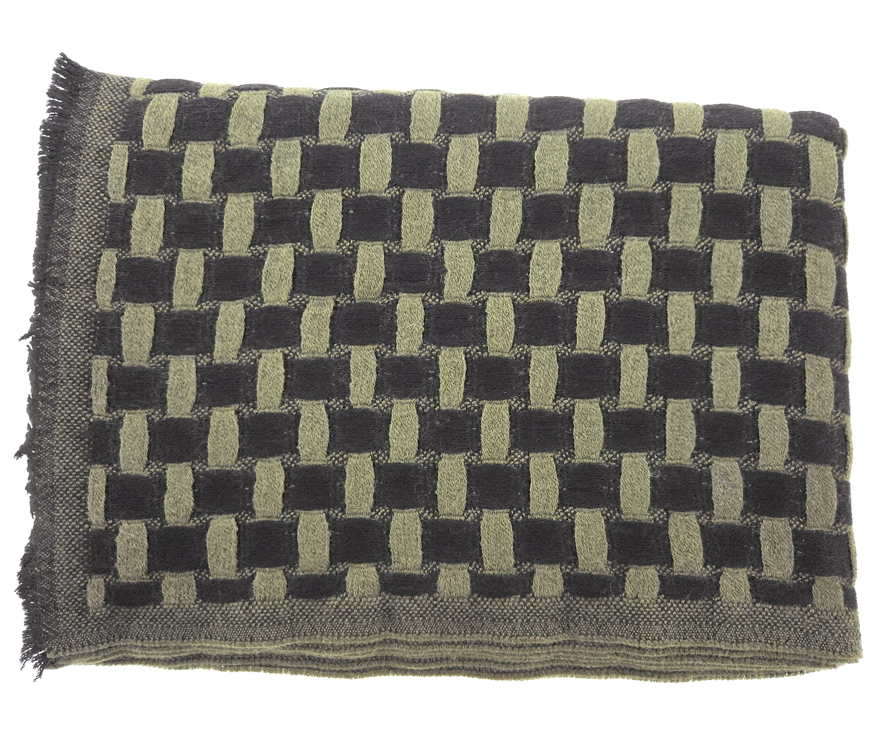 Lanvin Soft Luxurious 100% Wool Green Fringe Scarf