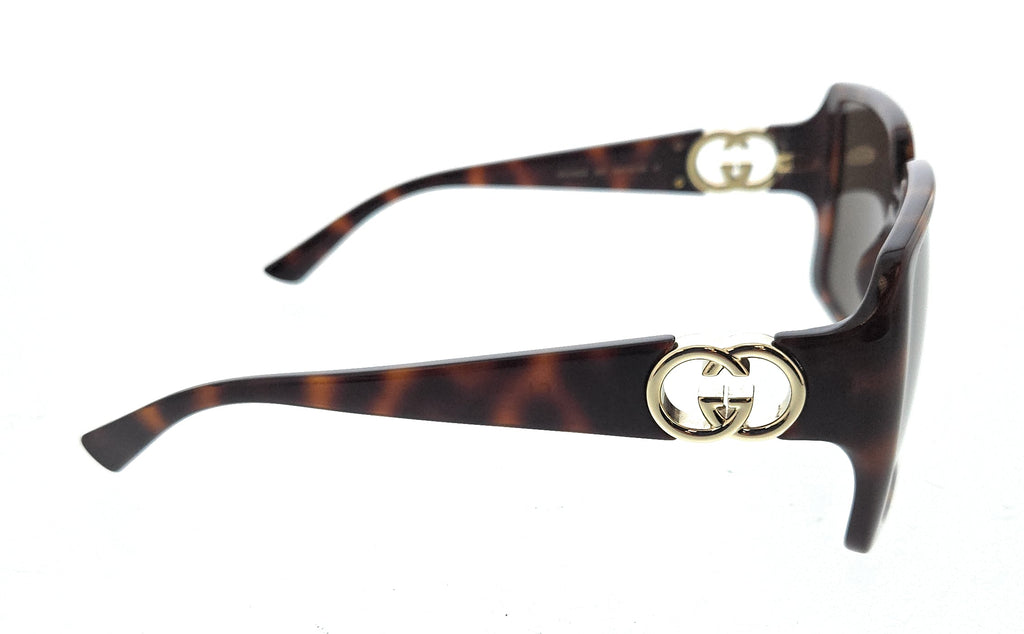 Gucci GG1692S-002 Havana square Ladies Sunglasses