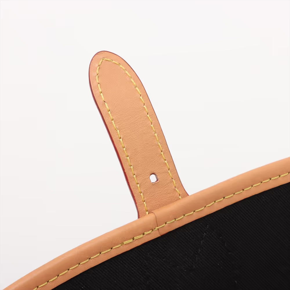 Louis Vuitton Monogram Diane PM