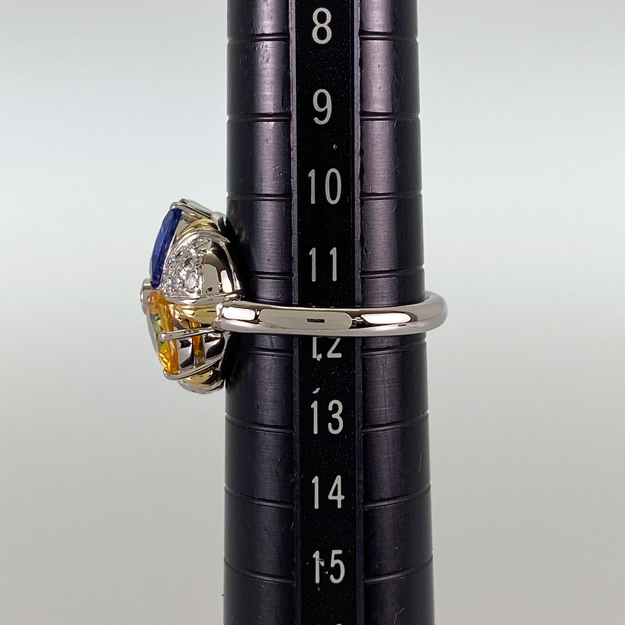 Ring Platinum Yellow gold Sapphire