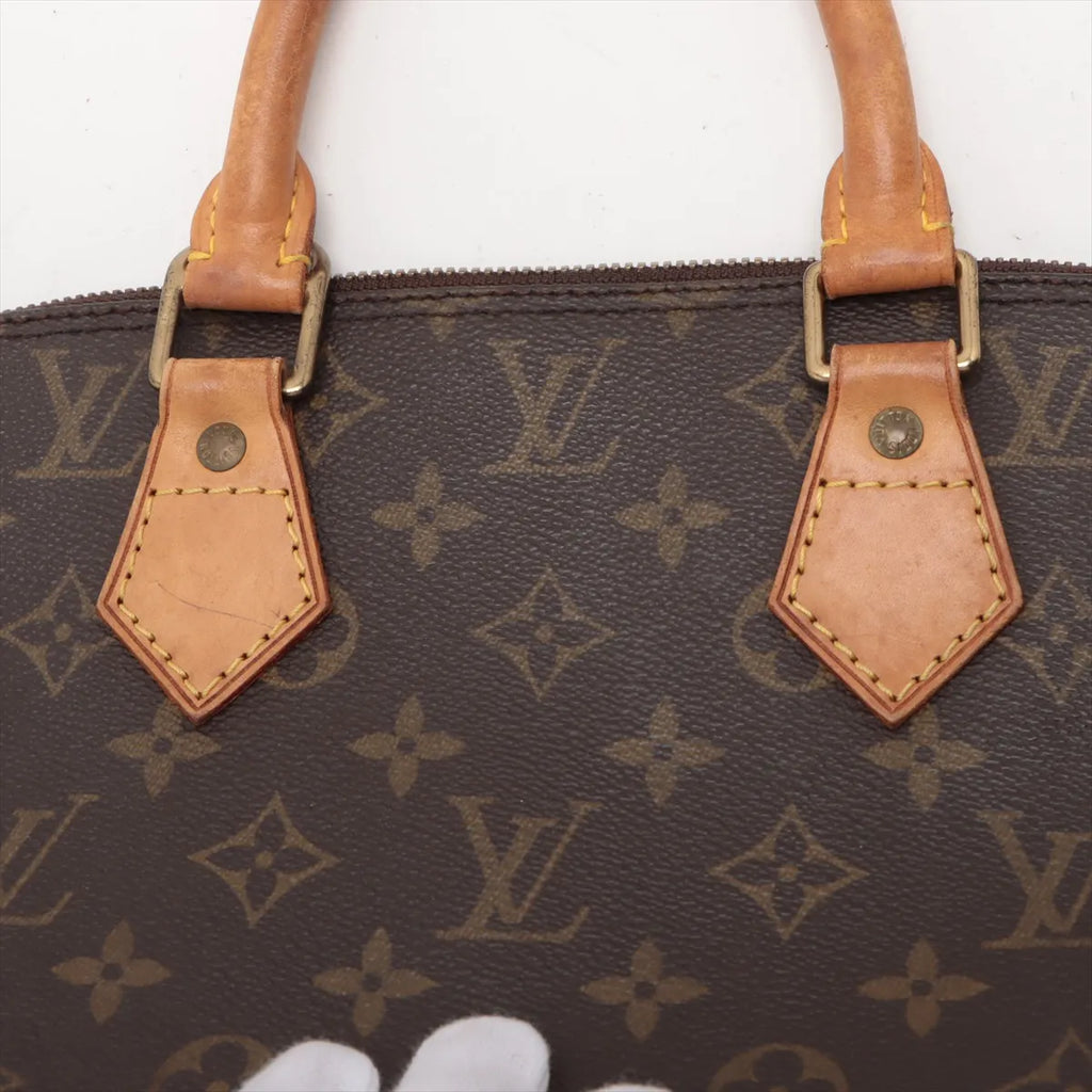 Louis Vuitton Monogram Alma