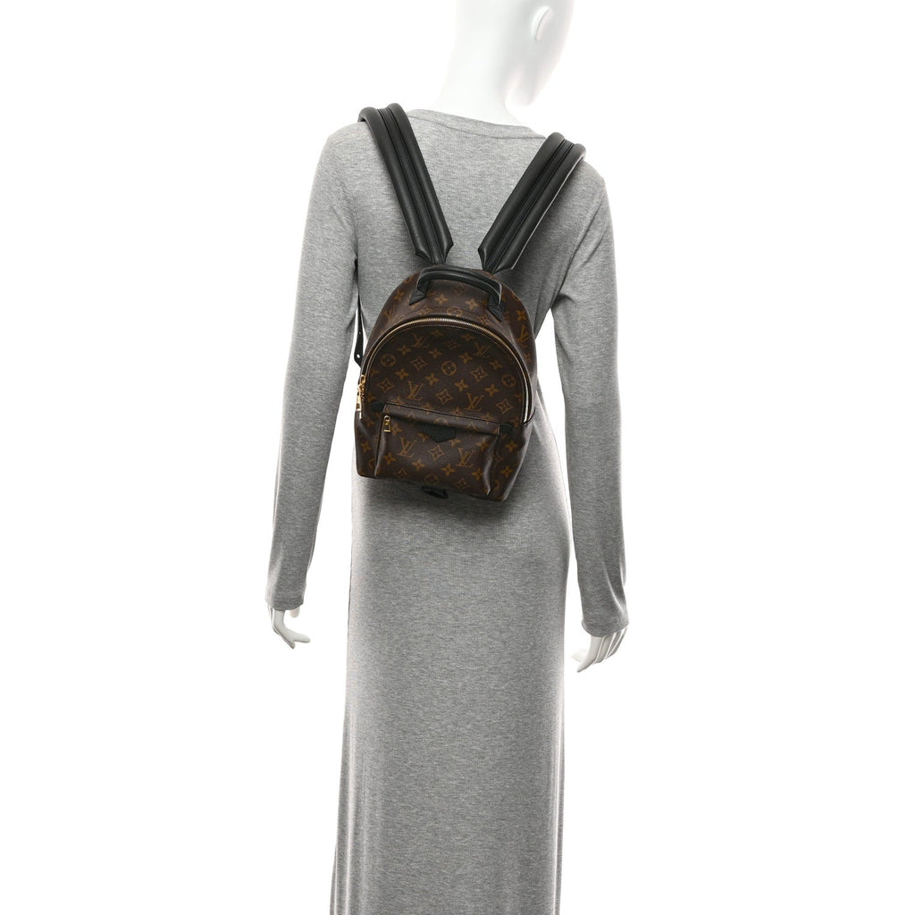 Monogram Palm Springs Backpack PM
