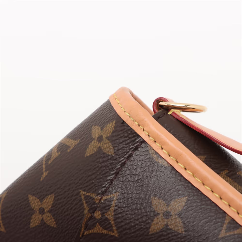 Louis Vuitton Monogram Diane PM