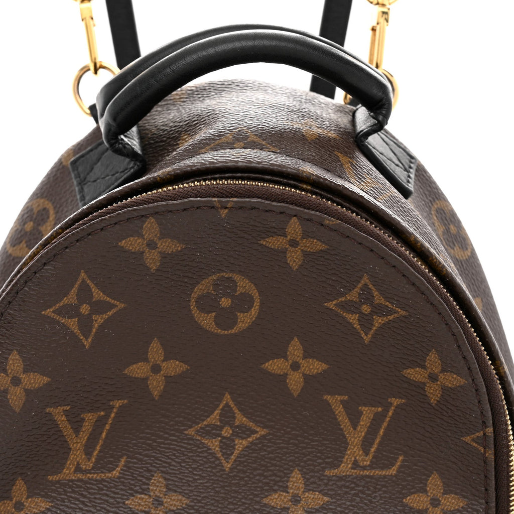 Monogram Palm Springs Backpack Mini